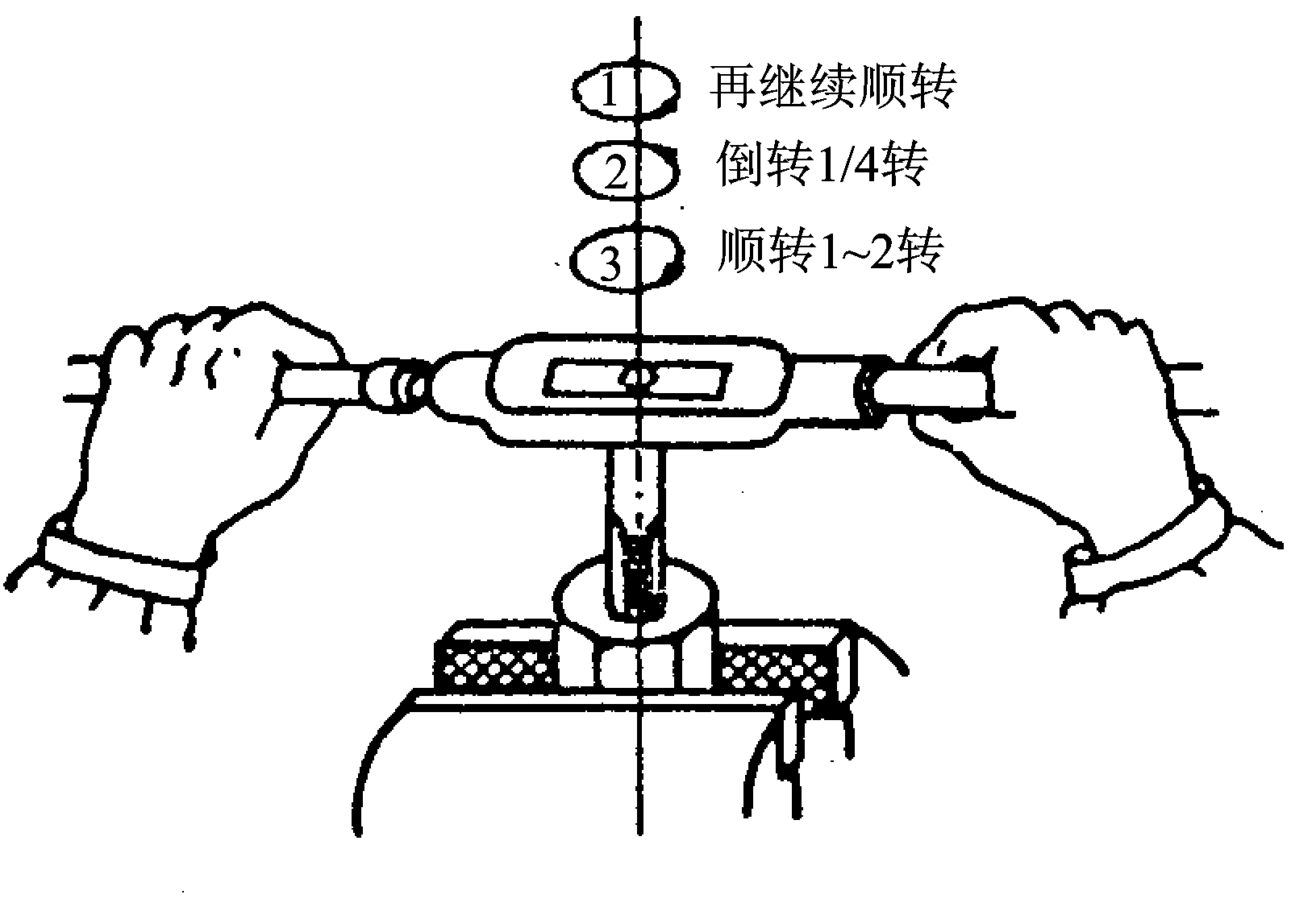 圖片5